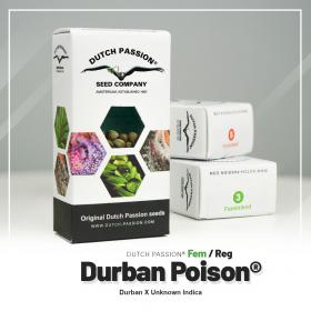 Durban Poison® 5 seeds- Fem